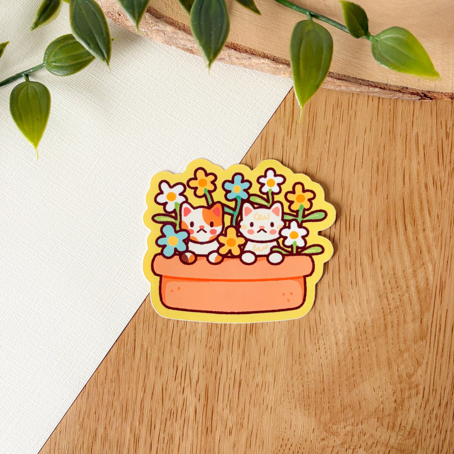 Crème & Brûlée in the Daisies (Mar 25) Limited Edition Patreon Mushy Mail Bundle