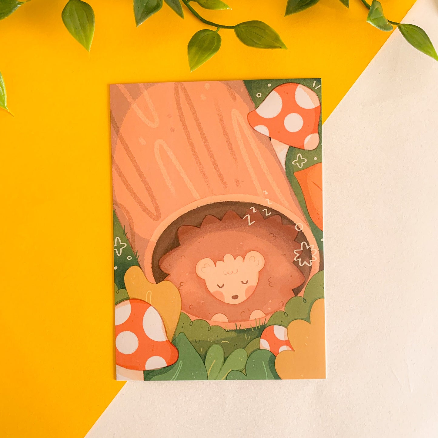 Hibernating Hedgehog (Nov 22) - Limited Edition Patreon Print