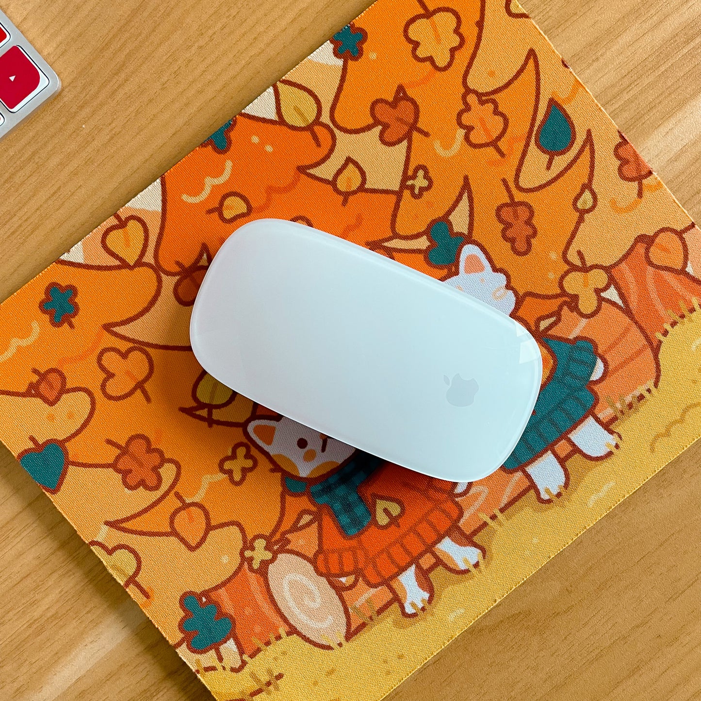 Autumnal Walks - Rectangle Mouse Mat