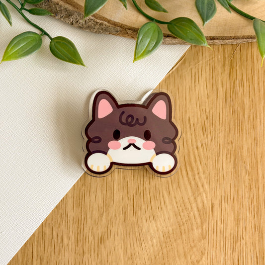 Peeking Cat - Acrylic Clip