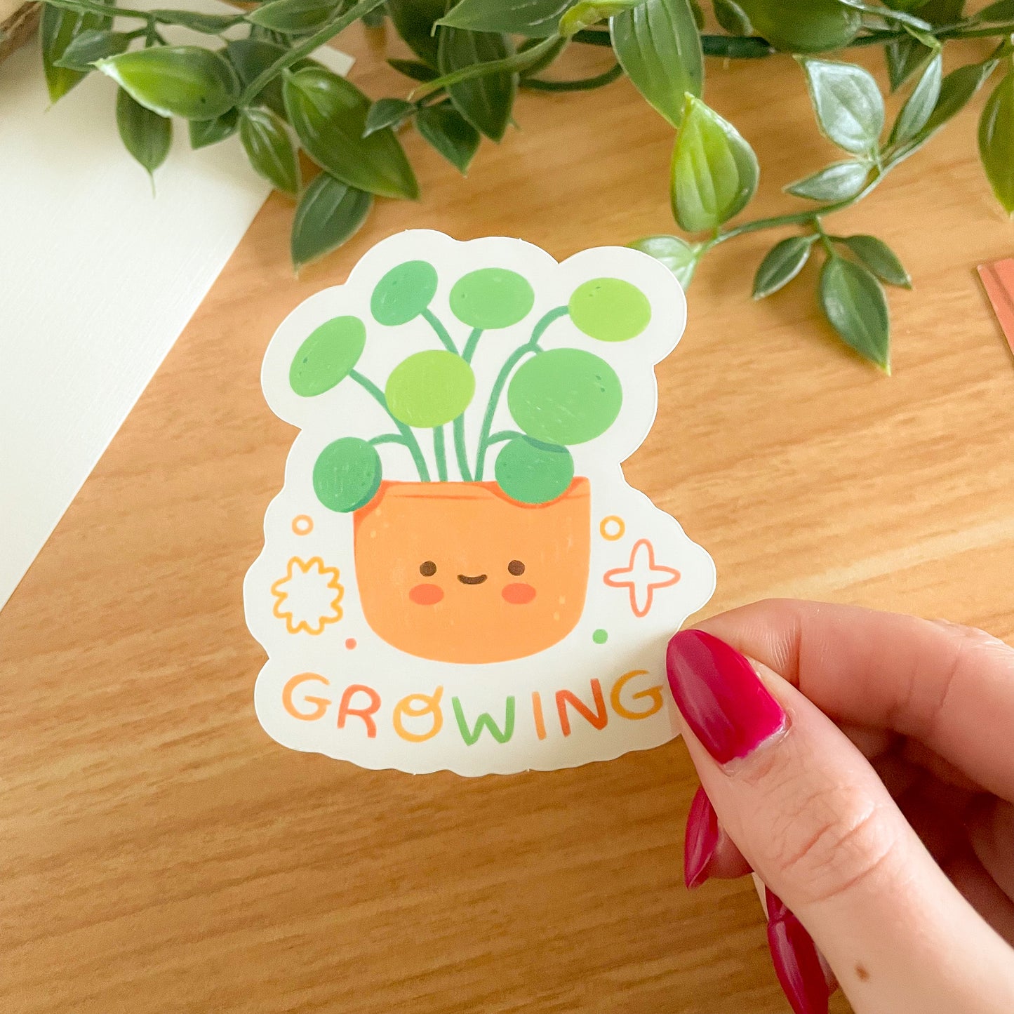 Growing (March 23) Limited Edition Patreon Mushy Mail Bundle