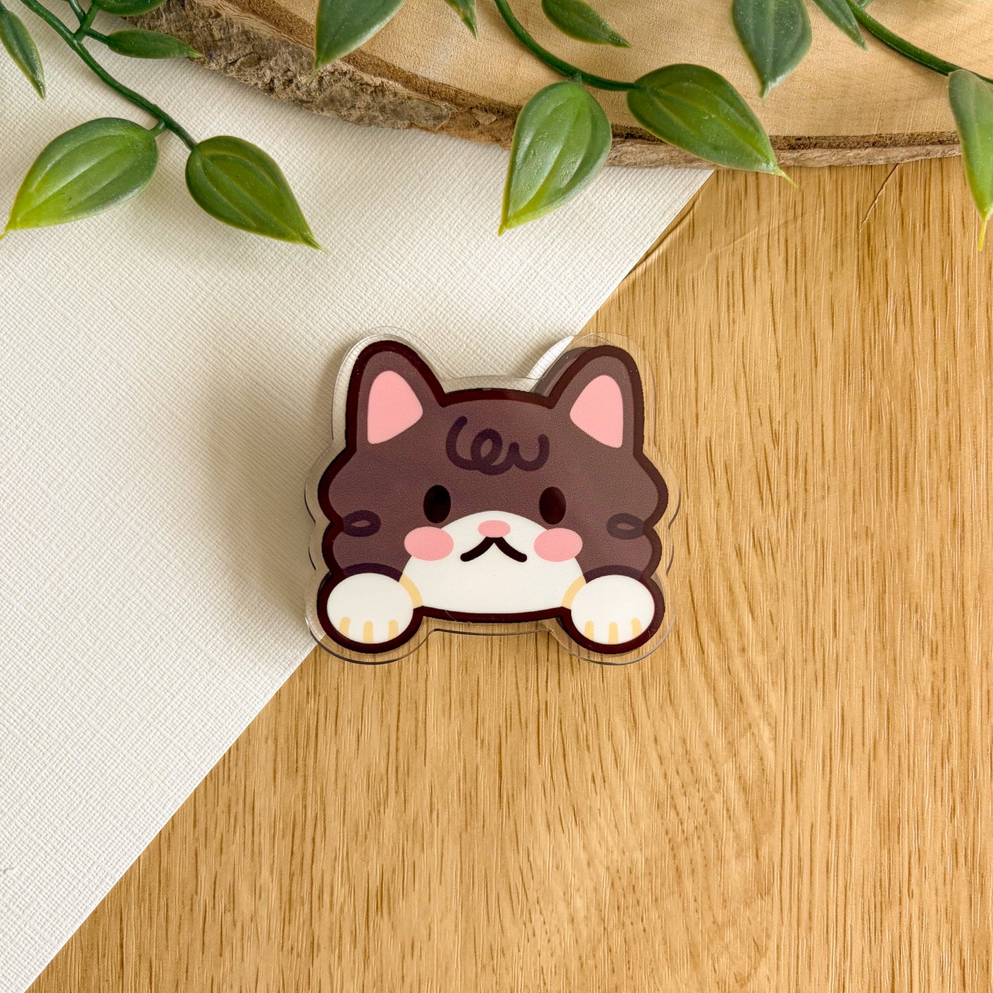 Peeking Cat - Acrylic Clip