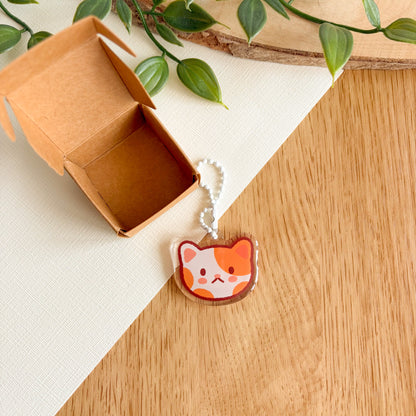 Mystery Mini Acrylic Charms