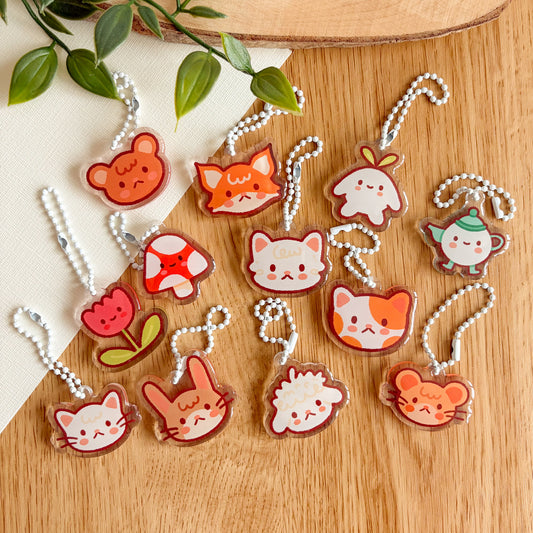 Mystery Mini Acrylic Charms