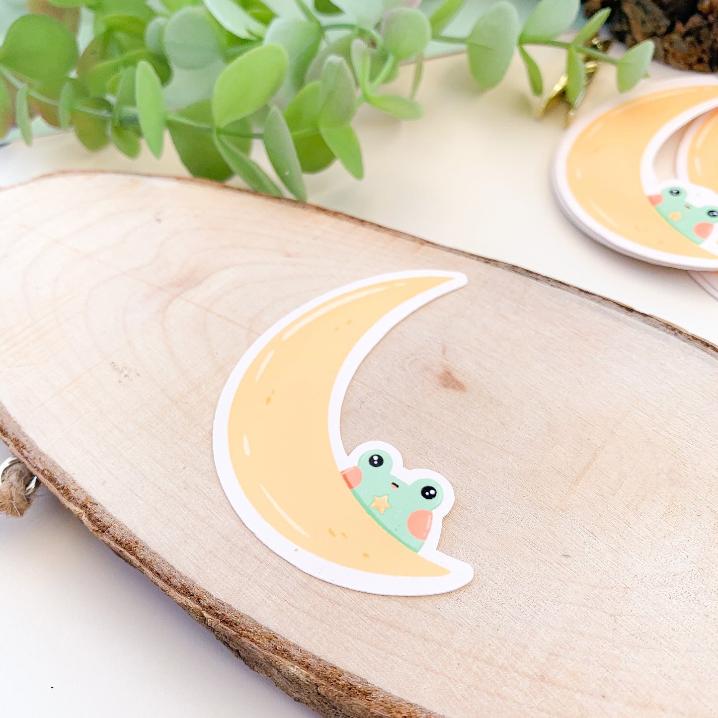 Moon Frog- Glossy Vinyl Sticker